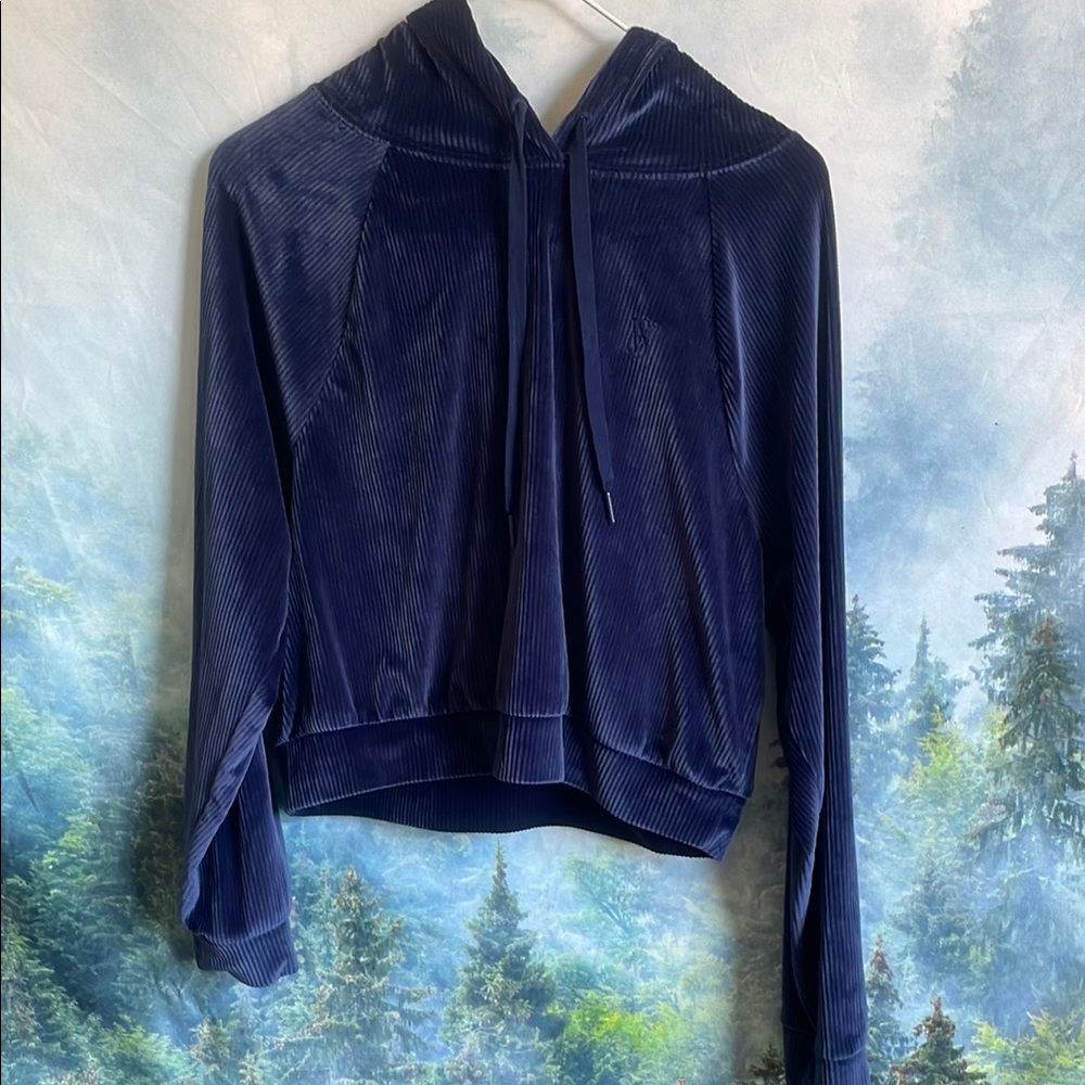 Victoria's Secret Blue Velvet Hoodie